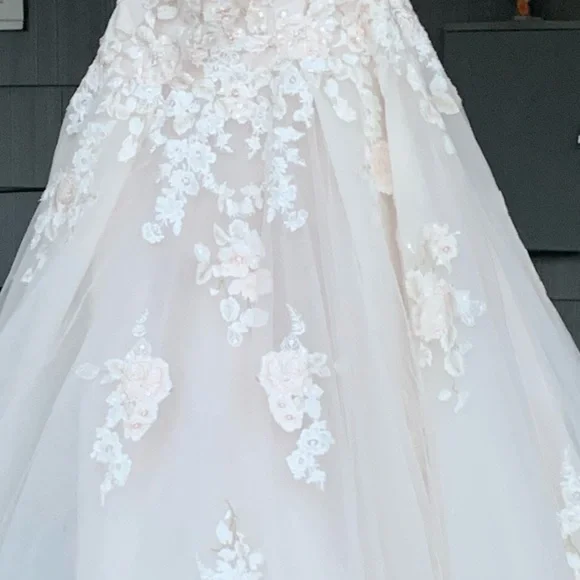 NWT Embroidered Lace Appliqué Wedding Dress in Ivory Sand: Size 2 - Picture 5 of 6